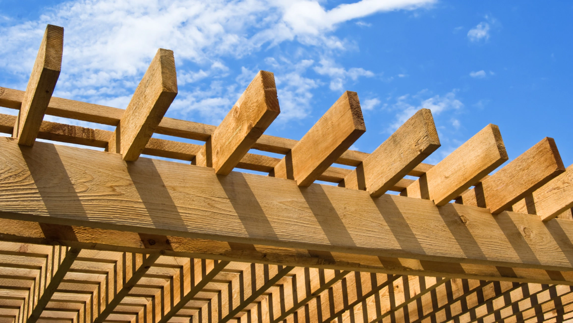 pergola services (3)